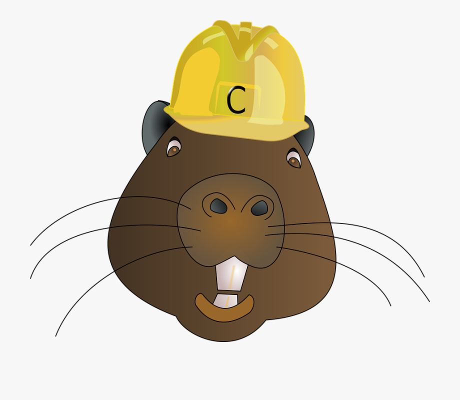 Free wearing a clip. Beaver clipart hard hat
