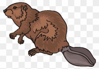 beaver clipart nutria
