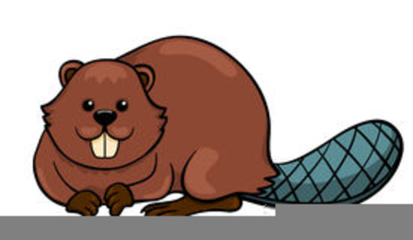 beaver clipart otter
