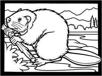 beaver clipart outline