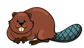 beaver clipart real