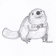beaver clipart sketch