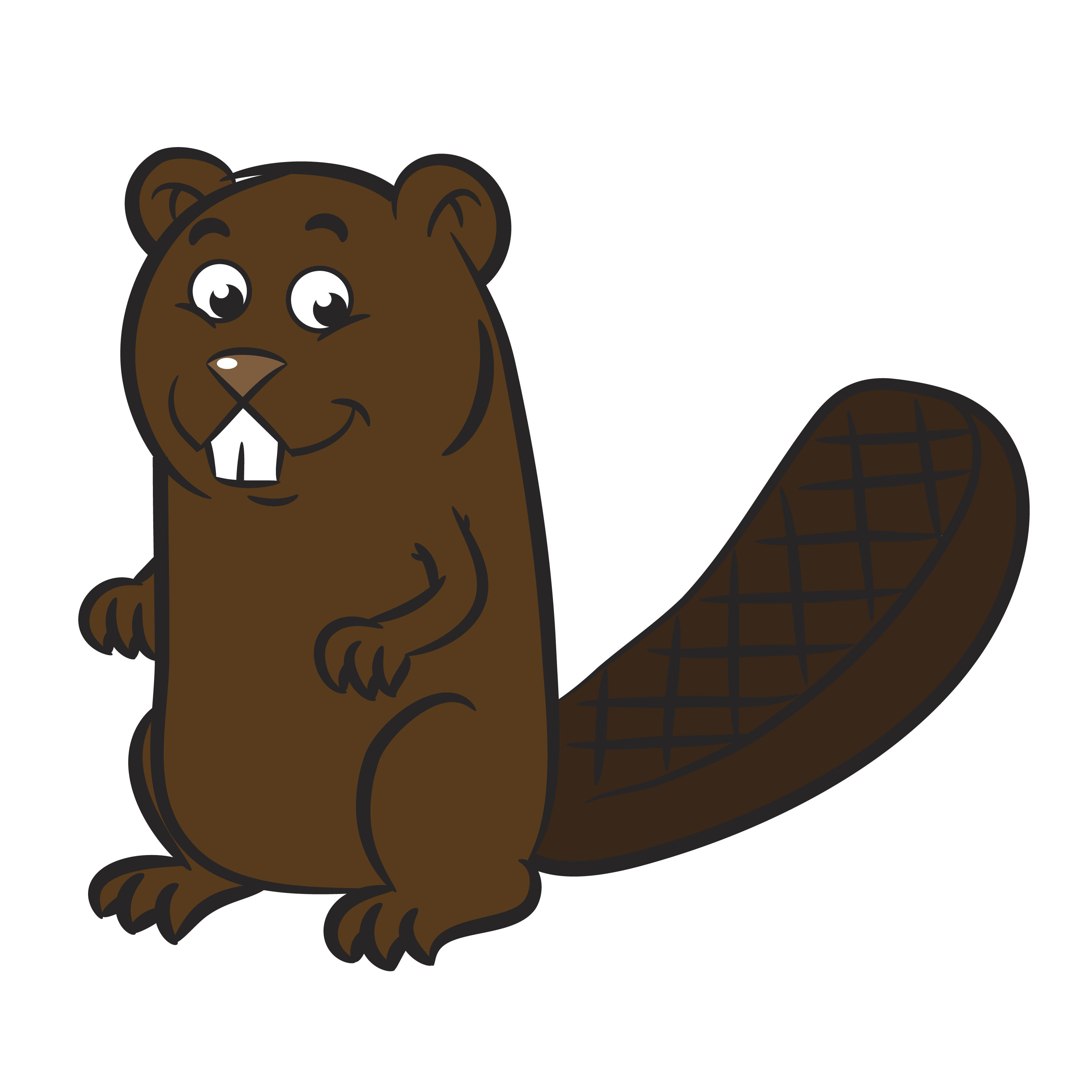 beaver clipart sketch