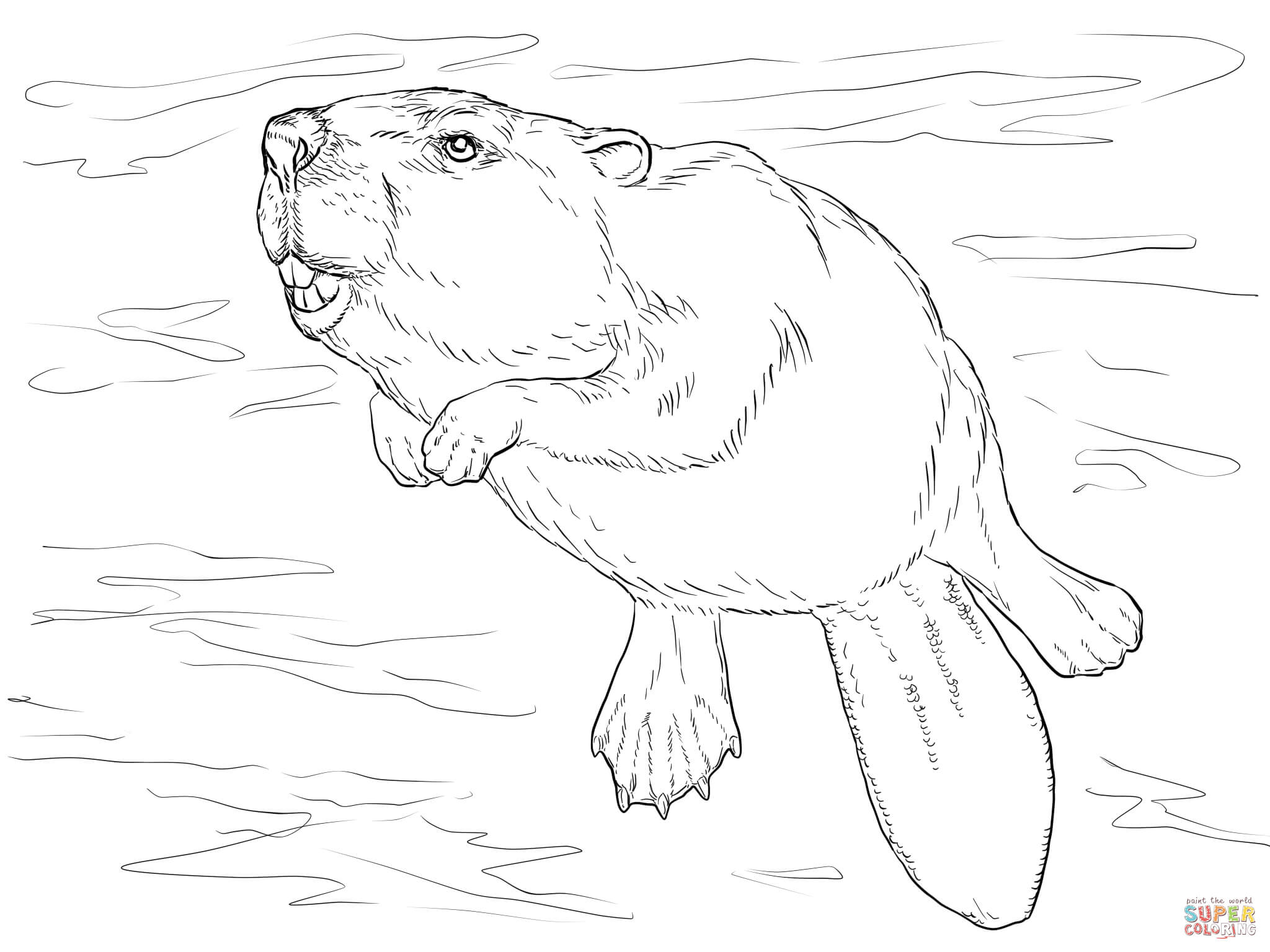 Beaver clipart swimming. Coloring page free printable