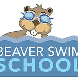 Beaver clipart swimming. Swim school education boronia