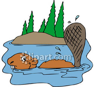 beaver clipart walking