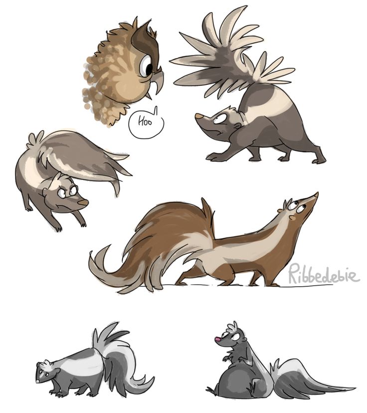  best skunk images. Beaver clipart zealous