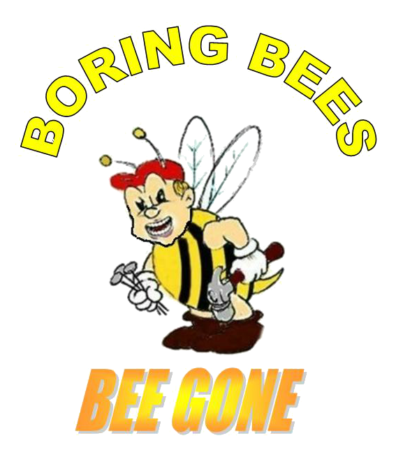 clipart bee carpenter bee