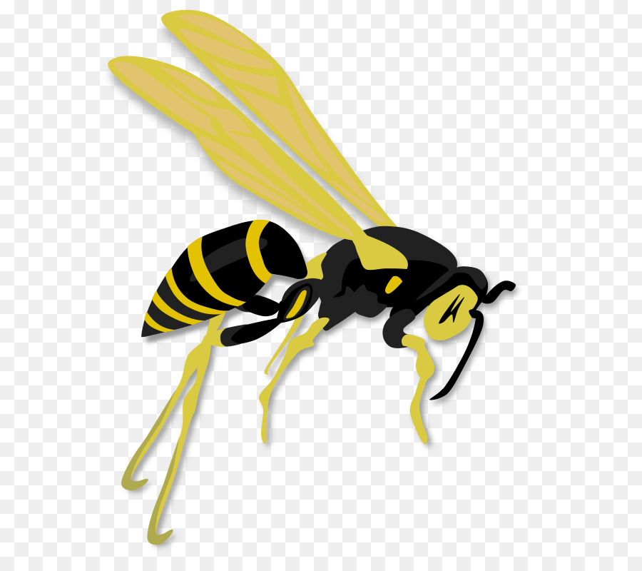 Hornet clipart bee. Download wasp clip art