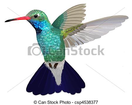bee clipart hummingbird