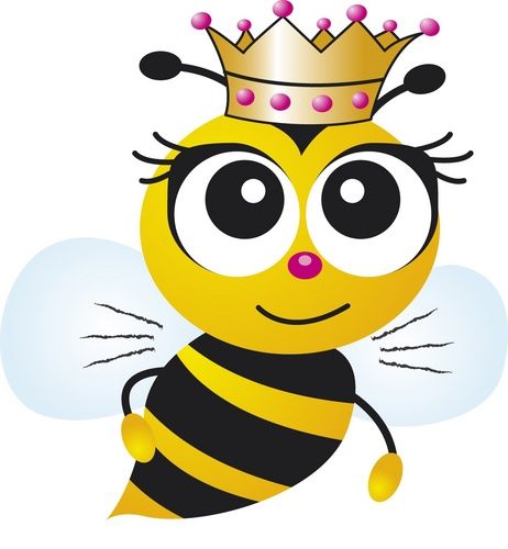 Bee queen bee