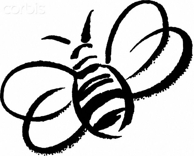 bee clipart sketch