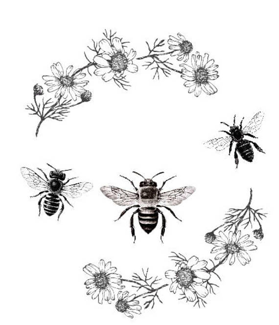 Bee clipart vintage. Print poster daisy flowers