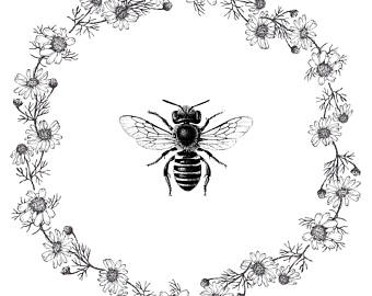 bee clipart vintage
