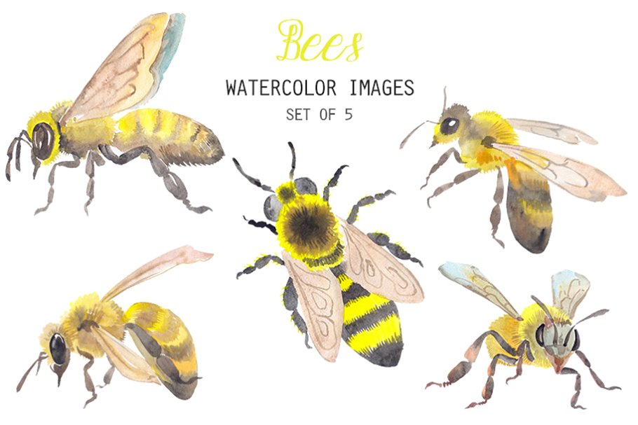 clipart bee watercolor