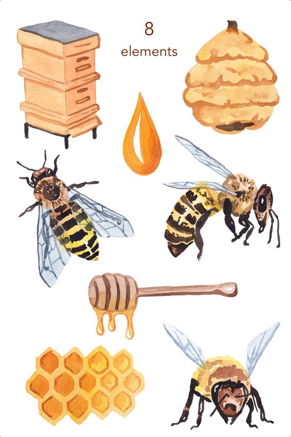 bees clipart watercolor