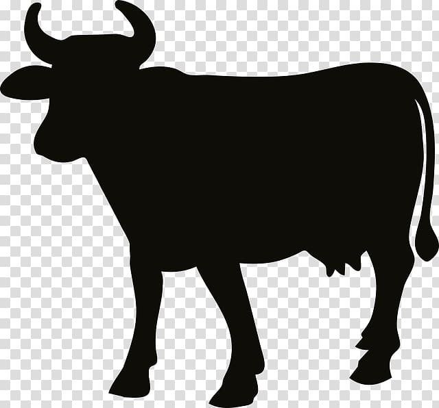 Beef clipart beef cattle. Angus charolais ox silhouette