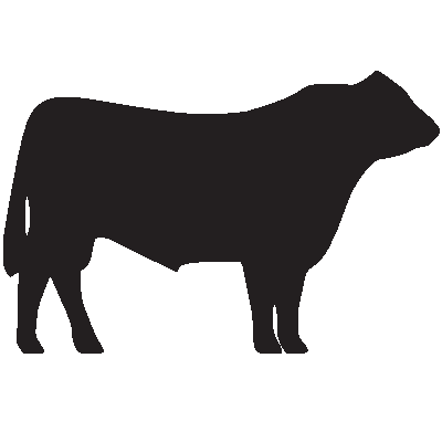 Beef clipart beef cattle. Cow outline 