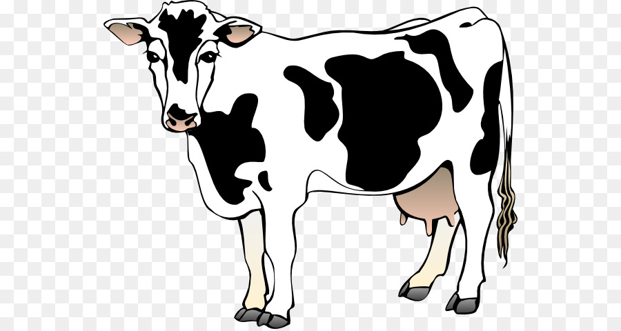 Free content clip art. Beef clipart beef cattle