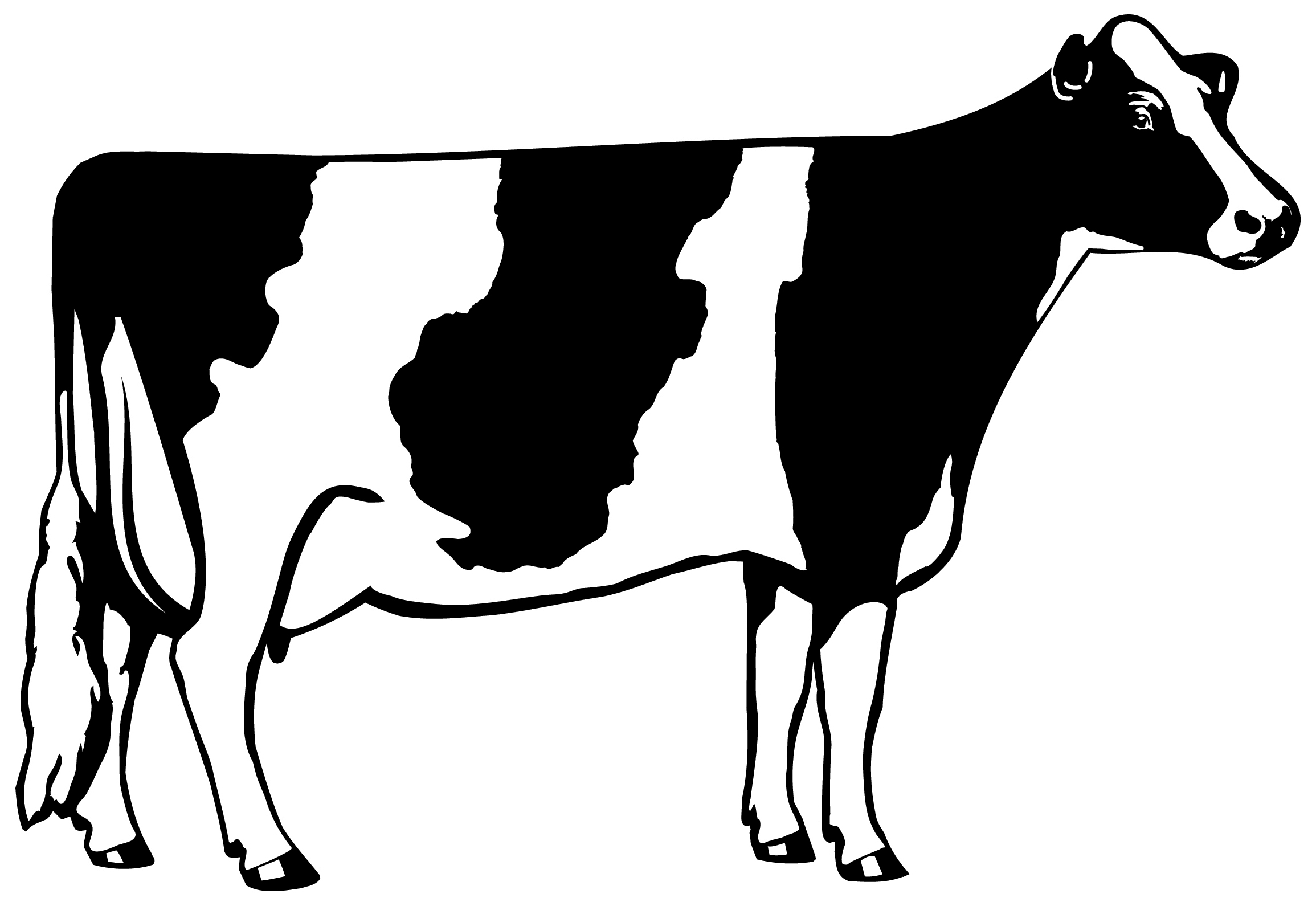 cattle clipart black and white