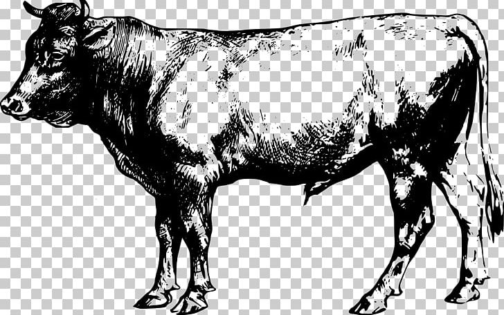 beef clipart beef cattle