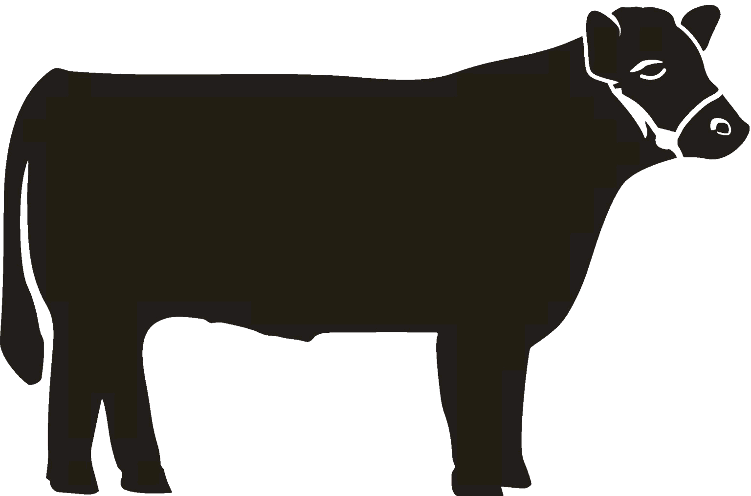 beef clipart beef steer