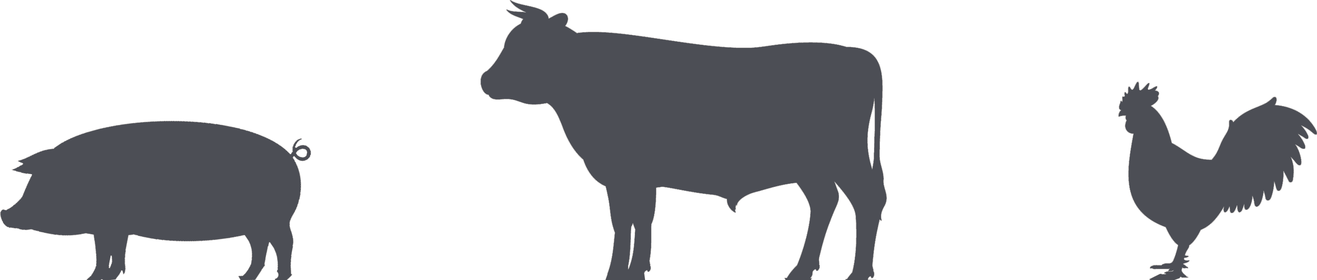 Eat menu sections omc. Cows clipart bbq