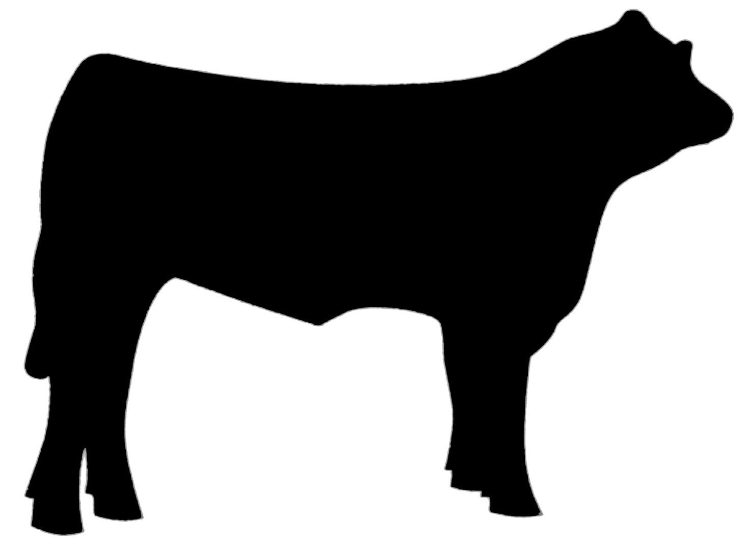 cows clipart shadow