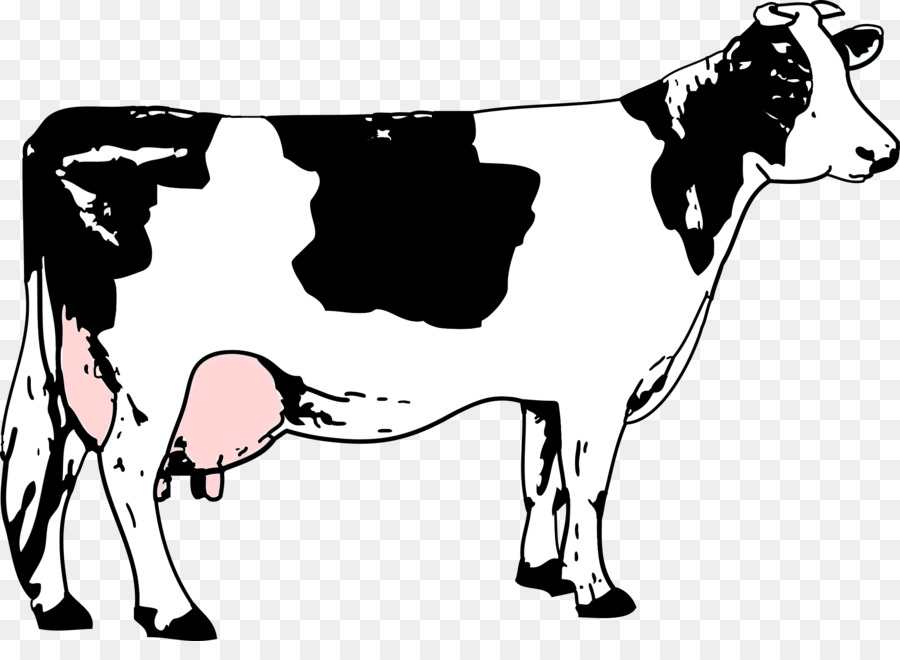 Cattle clipart milk cow, Cattle milk cow Transparent FREE for download