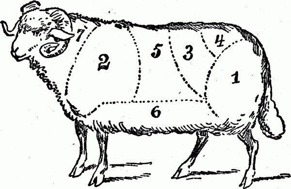 beef clipart lamb meat