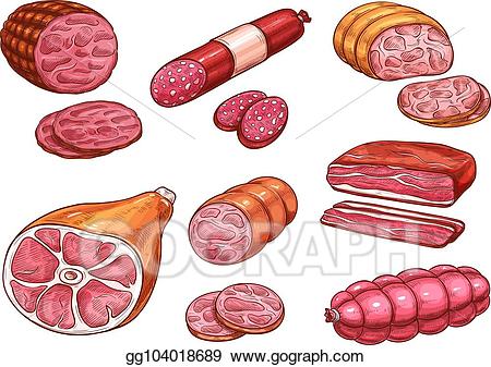 Vector stock sausage sketch. Beef clipart meat product