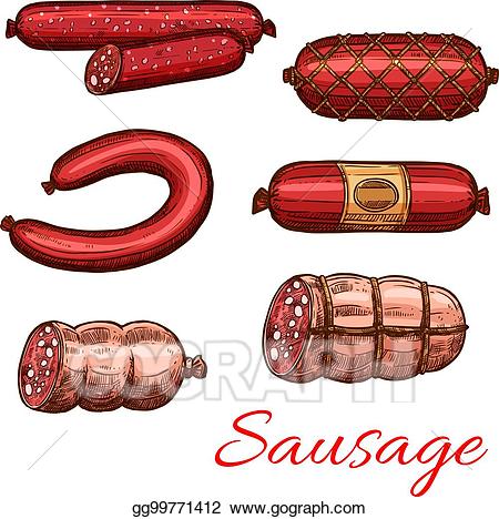 Vector illustration sausage sketch. Beef clipart pork