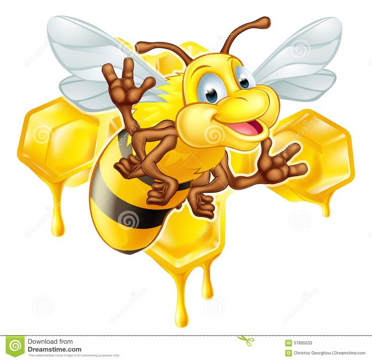 beehive clipart animal home