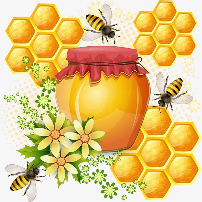 beehive clipart bee cell