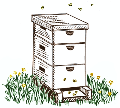 beehive clipart bee house