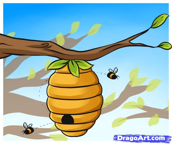 beehive clipart drawn
