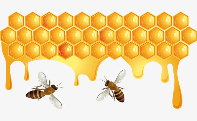 beehive clipart honeycomb