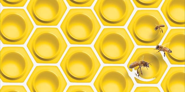 beehive clipart honeycomb background