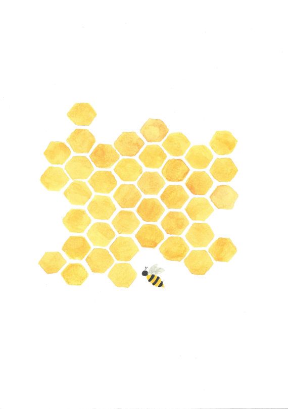 honeycomb clipart printable