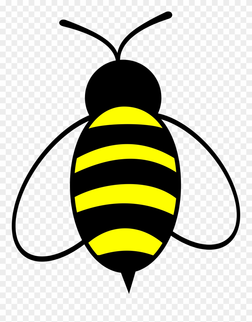 insects clipart honey bee