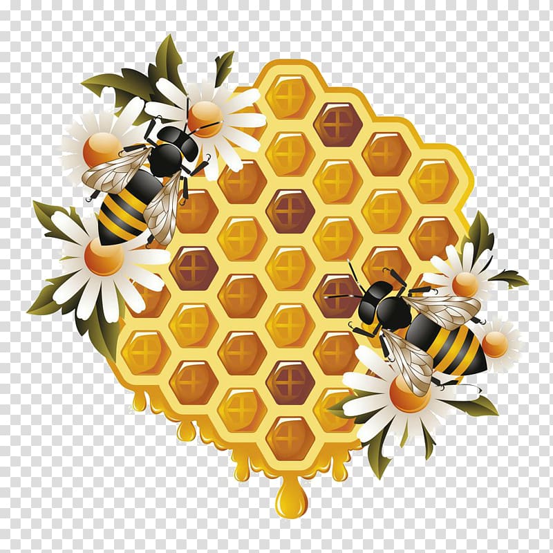 honeycomb clipart bumble bee