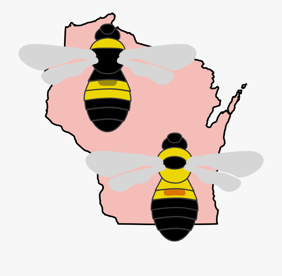 Transparent wisconsin white free. Bees clipart bumble bee