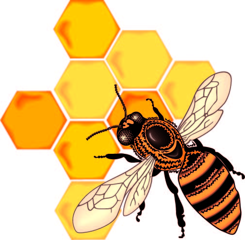 bees clipart vector