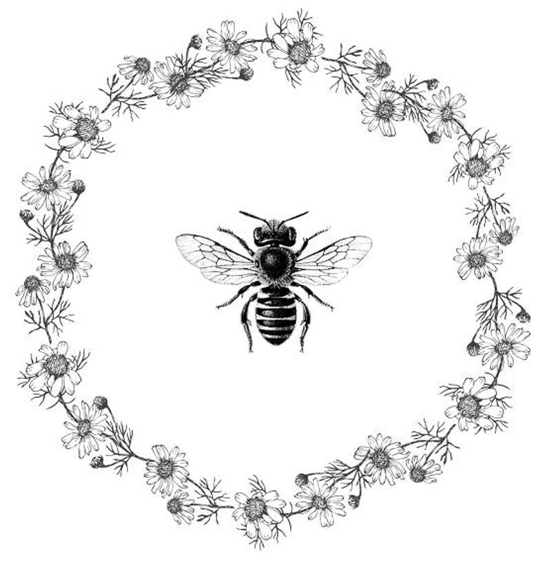 Bees clipart vintage, Bees vintage Transparent FREE for download on