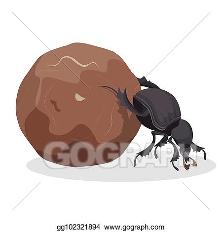 beetle clipart big bug