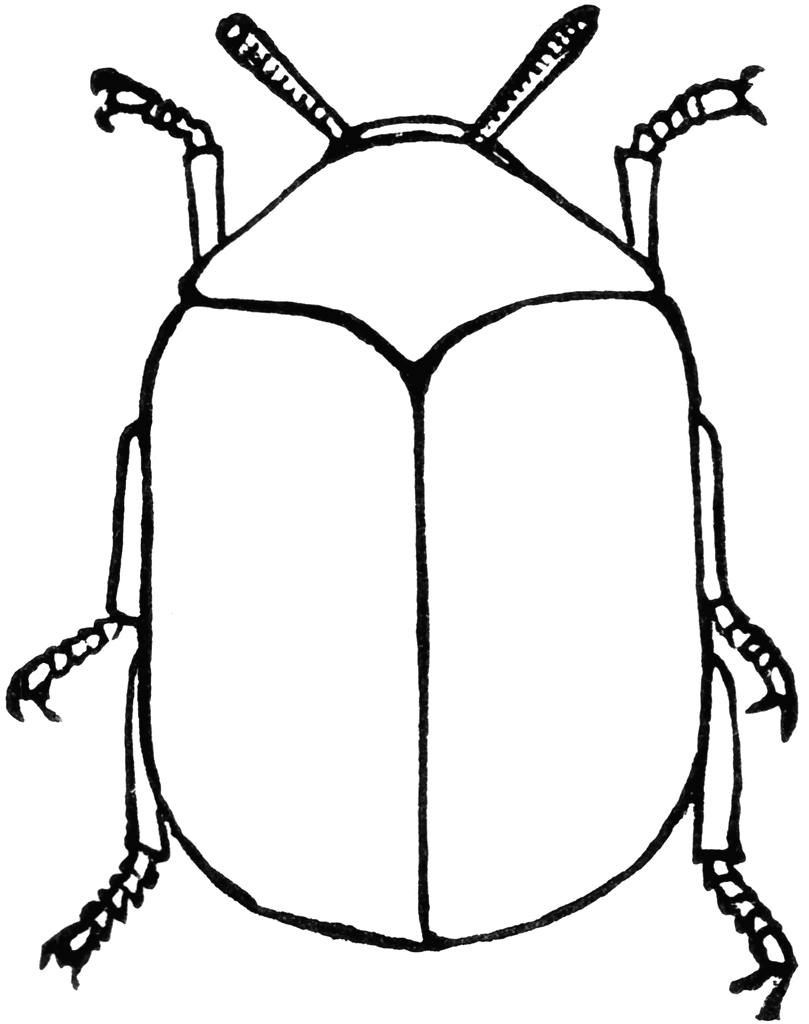 Beetle clipart black and white. Etc
