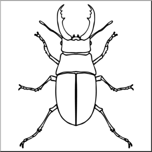 Clip art insects stag. Beetle clipart black and white