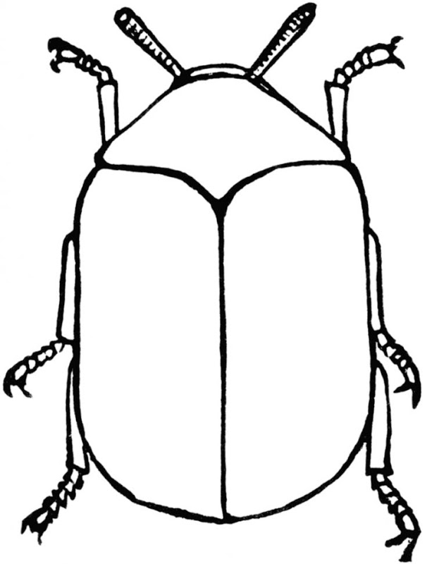 Wallpapers home screen . Beetle clipart black and white