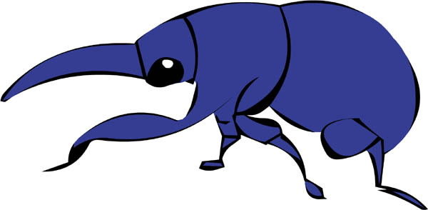 bugs clipart boll weevil