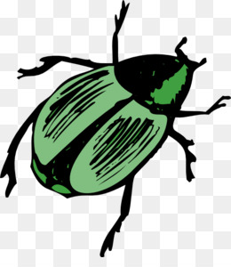 beetle clipart bug